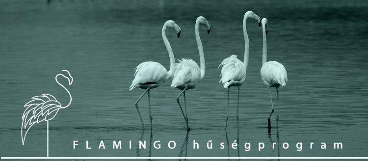 Divatékszerbolt Flamingo hűségprogram