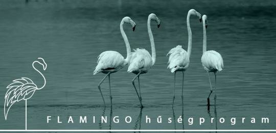 Divatékszerbolt Flamingo hűségprogram