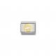 Nomination Arany halak csillagjegy charm 030104-12