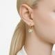 Swarovski Dextera arany színű fülbevaló fehér kristállyal 5666023