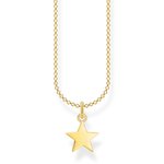 Thomas Sabo Aranyozott ezüst nyaklánc csillaggal KE2053-413-39-L45v