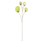 Swarovski Garden tales eukaliptusz fa 5557803