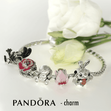 Pandora charm