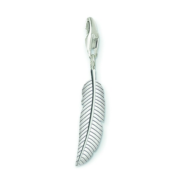 Thomas Sabo Toll ezüst charm 0582-001-12