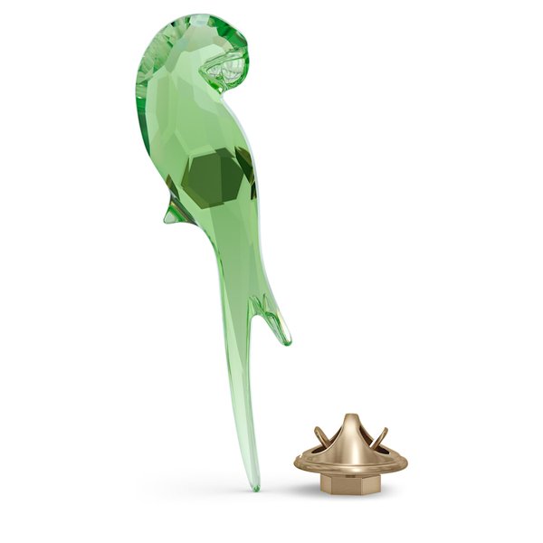 Swarovski Papagáj kitűző és mágnes 5557813