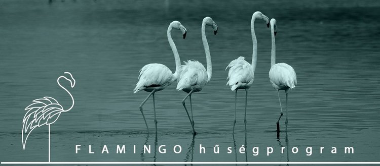 Divatékszerbolt Flamingo hűségprogram