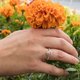 Swarovski Rozé gyűrű rózsaszín swarovski szívvel 