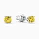Swarovski Örök virág ékszer szett 5518146