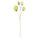 Swarovski Garden tales eukaliptusz fa 5557803