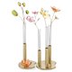 Swarovski Garden tales eukaliptusz fa 5557803