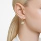 Swarovski Dextera arany színű fülbevaló fehér kristállyal 5666023