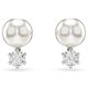 Swarovski Mátrix kristálygyöngy bedugós fülbevaló 5694225