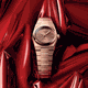 Tissot PRX gyémánt indexes rozé női quartz karóra T1370103350600