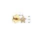 Jackie Gold Csillag fehér topáz 14K arany piercing JKP24.427