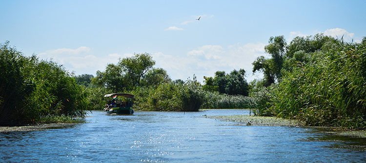 Tisza-tó